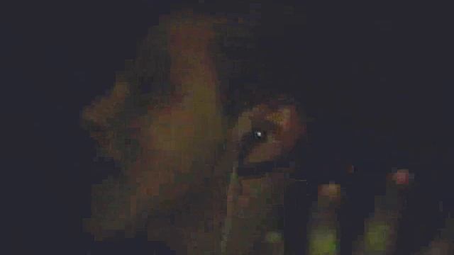 The Madness of King Scar смотреть онлайн
