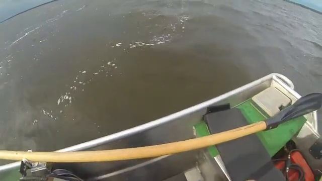 Жерех на днепре смотреть онлайн