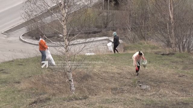 Специалисты Центра развития туризма навели порядок на горе Косотур смотреть онлайн