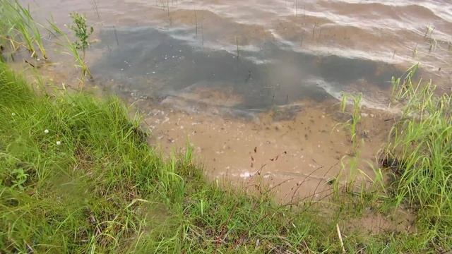 Чёрная Холуница 04.07.2019. Пруд во время грозы. Вид с Камаевской стрелки в южном направлении смотреть онлайн