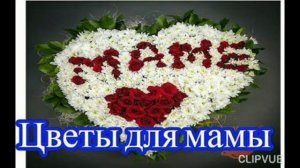 ВСЕМ ЖЕНЩИНАМ, ПОДАРИВШИМ ЖИЗНЬ СЫНОВЬЯМ, ПОСВЯЩАЕТСЯ...