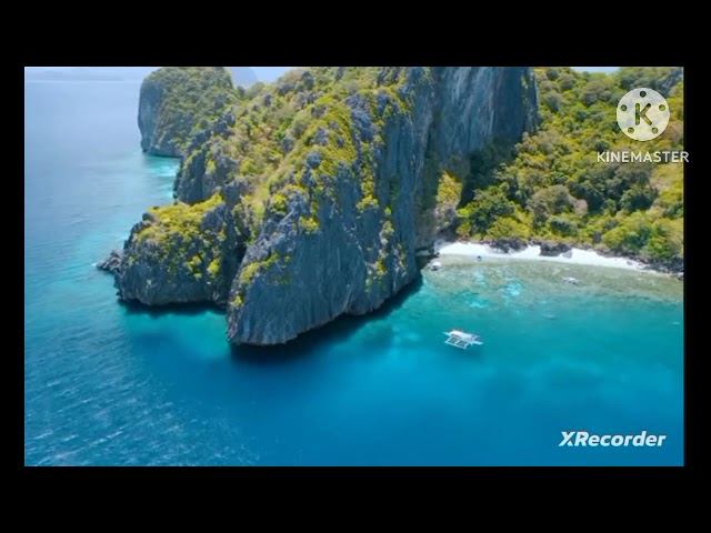 блогер с помойки//стрим смотреть онлайн