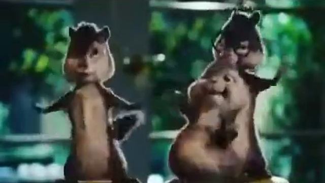 Кавказские бурундуки