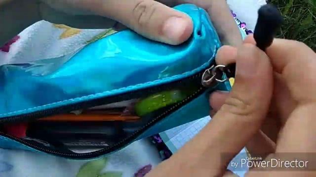 5 Идей Чем заняття на пикнике/COOl Girl