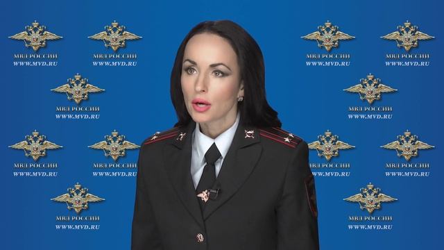 Официальный комментарий И.В. Волк