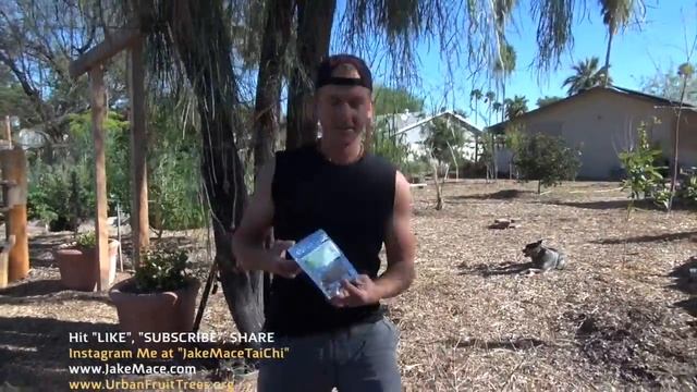 Planting a Murcott Tangerine Tree at Home! DELICIOUS Citrus Tree! смотреть онлайн