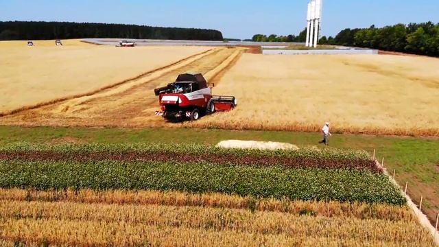 #ВСЕГДАРЯДОМ День поля 2021, Калтасинский район смотреть онлайн