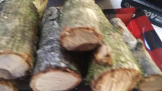 Homemade Pecan Logs / Saker Mini Electric Chainsaw смотреть онлайн