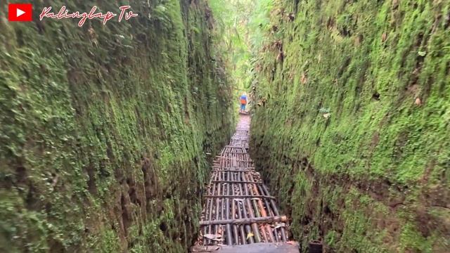 LORONG LUMUT..!! SPOT FOTO ANTIMAENSTREAM WISATA HIKING FAVORIT DI BANDUNG || REVIEW 2023 смотреть онлайн