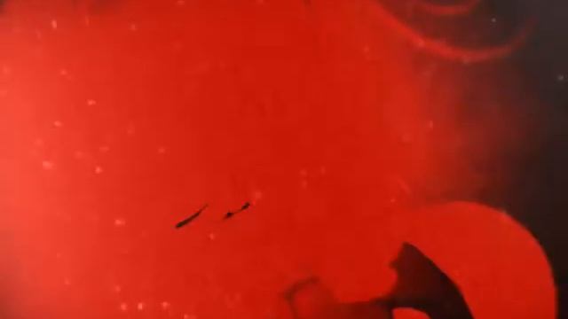 Для ^^НЯШИ:3••загляни в описание:3