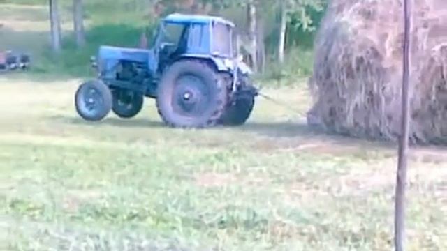 MTZ 80 traktor zver смотреть онлайн