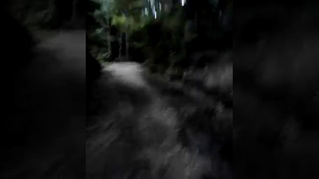 лес. со звуком смотреть онлайн