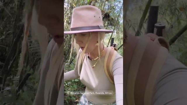 Елена Летучая смотреть онлайн