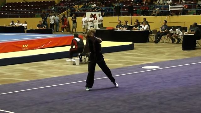 11th Pan-American Wushu Championships Women's Jianshu - Dusty Schmidt смотреть онлайн