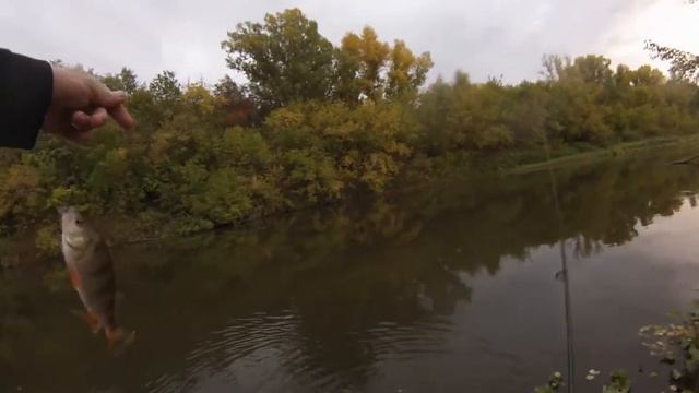 Бабье лето. Вечер со спиннингом на реке. смотреть онлайн