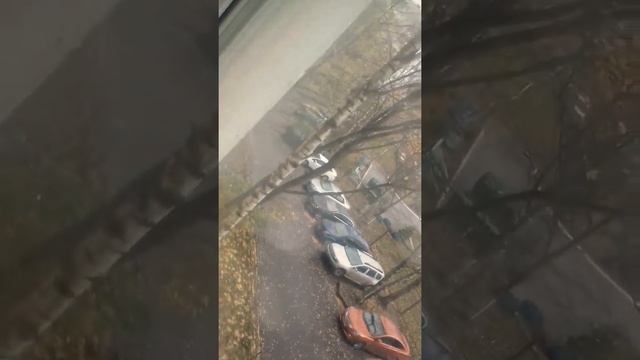Сладкий гном смотреть онлайн