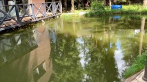 Фильтр для пруда своими руками.Начало.И текущее.