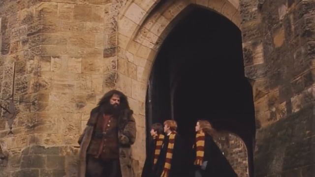 Гарик потный, камень философа RYTP Гарри Поттер ч 1 смотреть онлайн