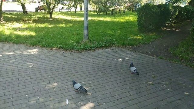 Мои работы в Польше. Где я работала.