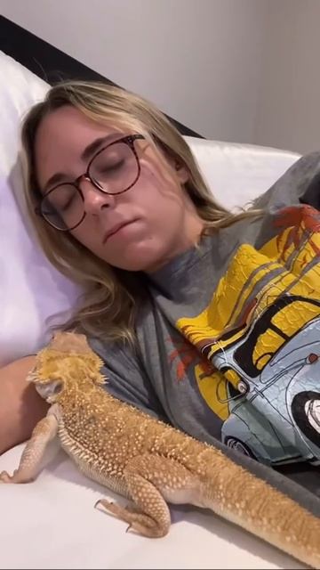Girl pretends to fall asleep to see what her Bearded Dragon will do... смотреть онлайн