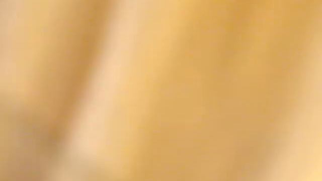 Formica Cinerea beim Futtertransport