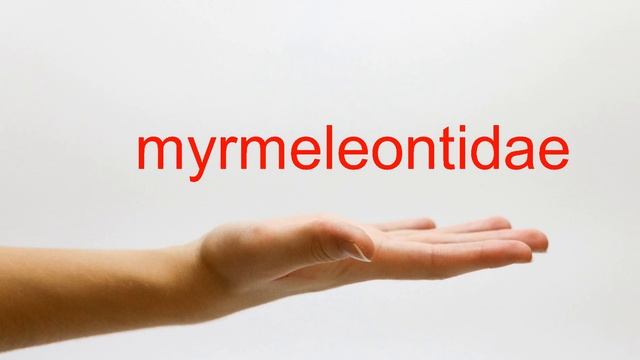 How to Pronounce myrmeleontidae - American English смотреть онлайн