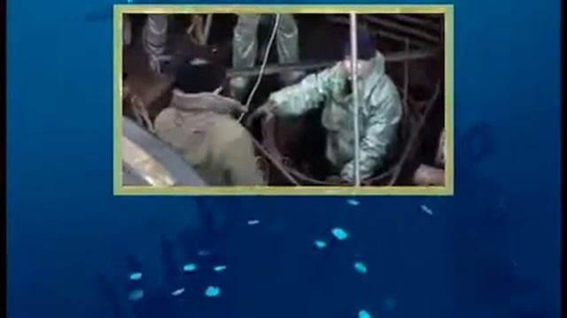 Seconds From Disaster S03E03 Kursk Russia's Nuclear Nightmare смотреть онлайн