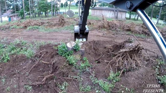 Volvo EW160C Excavator And JCB Backhoe Unleashed: Clearing Stumps With Ease!