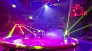 Цирк Филатовых во Владивостоке