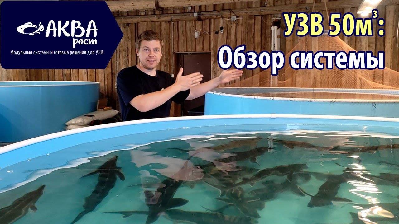 Обзор УЗВ в Коломне на 50 кубов #рыба #узв #бизнесвдеревне