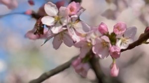 Модный приговор от Люды.