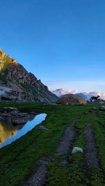Satsar Lake, Day 5 Of Kashmir Great Lakes Trek #shorts *1080p FHD