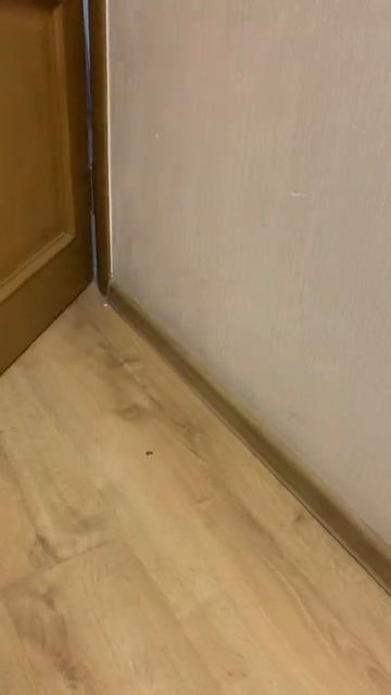 Дверной ограничитель «Невидимка» смотреть онлайн