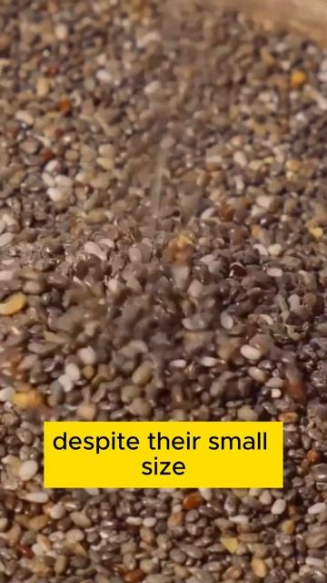 Boost Your Health with Chia Seeds Low Carb, High Fiber Superfood #shorts #chiaseeds #health смотреть онлайн