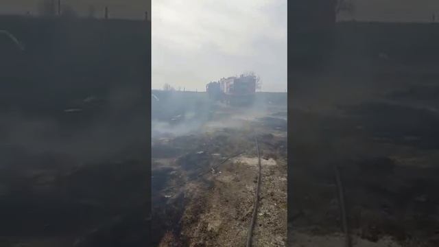 Alarmă pe plaja din Corbu după ce a izbucnit un incendiu de vegetație uscată смотреть онлайн