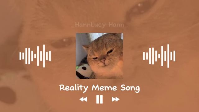Adrian van Sin - Floomin' All Day【Reality Meme Song】 смотреть онлайн