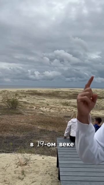 Хитрость Франца Эффа #дмитрийшилов #шилов #калининград смотреть онлайн