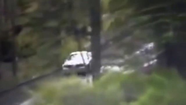 1983 World Rally Championship: Argentina