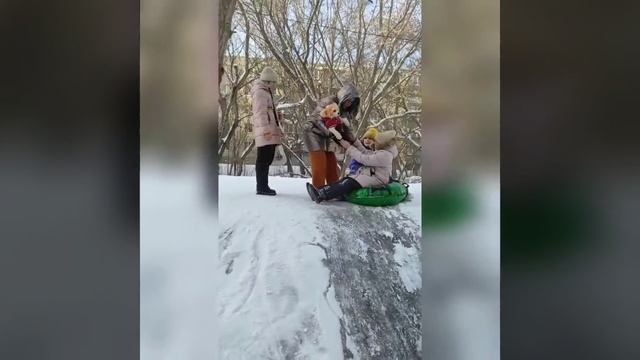 Зима холода и собака Белла любит горку🐿️ смотреть онлайн