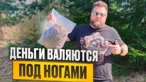 КАК ЗАРАБОТАТЬ НА ХВОЙНЫХ ИГОЛКАХ?/КУДА ИХ ПРОДАТЬ?