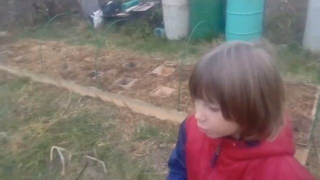 Правильные грядки. смотреть онлайн