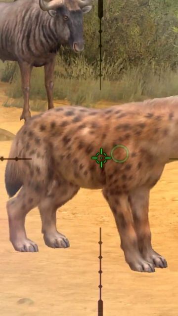 spotted hyena hunting #subscribe #shorts #short #viral смотреть онлайн