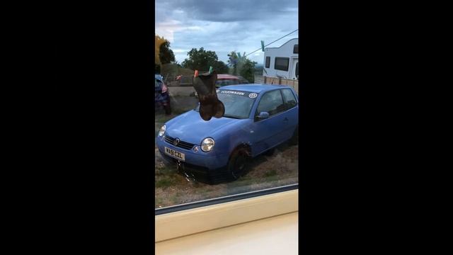 MY VW LUPO смотреть онлайн