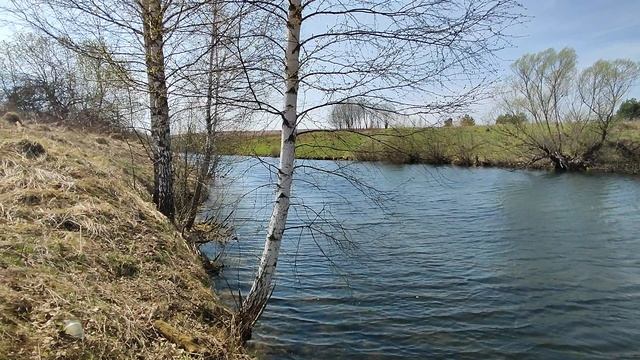 пруд смотреть онлайн