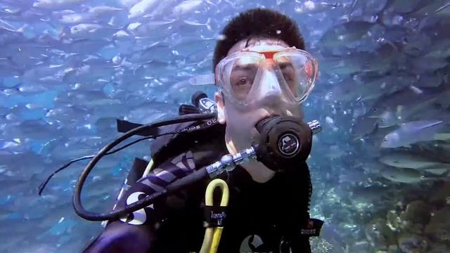 Diving in Sipadan Island - GOPRO3+ смотреть онлайн