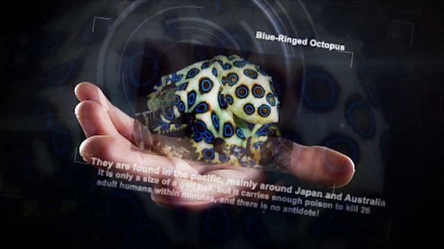 The Incredible 10 - Poisonous Animals смотреть онлайн