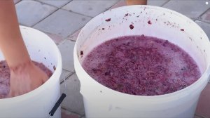 ВИНО из ВИНОГРАДА!! Как приготовить вкусное домашнее вино из винограда простой рецепт