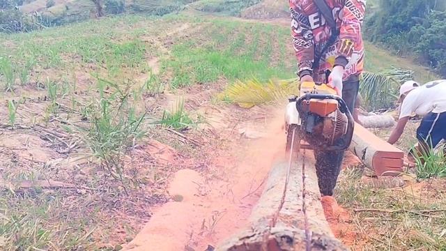 STIHL 070 cuts like spaghetti 2x2 coco lumber смотреть онлайн