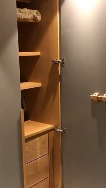 The idea behind the secret door. смотреть онлайн