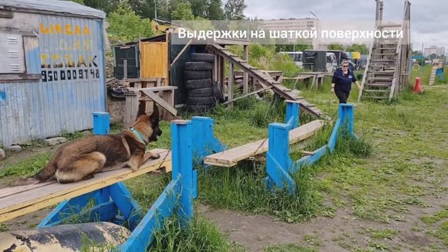 Джанико Вуду, 11 мес смотреть онлайн